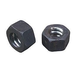 Coil Thread Hex Nut Plain